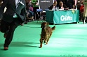 Crufts2011 774